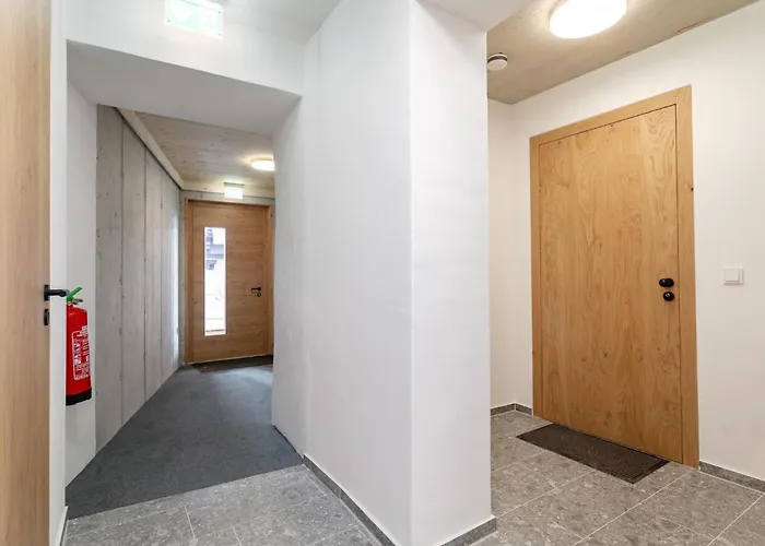 Apartment Hopfgarten Alpin Living 5 *